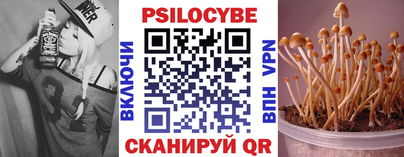 Галлюциногенные грибы прущие грибы  Белореченск 
